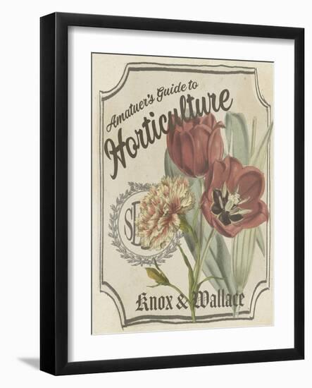 Vintage Seed Packets I-Studio W-Framed Art Print