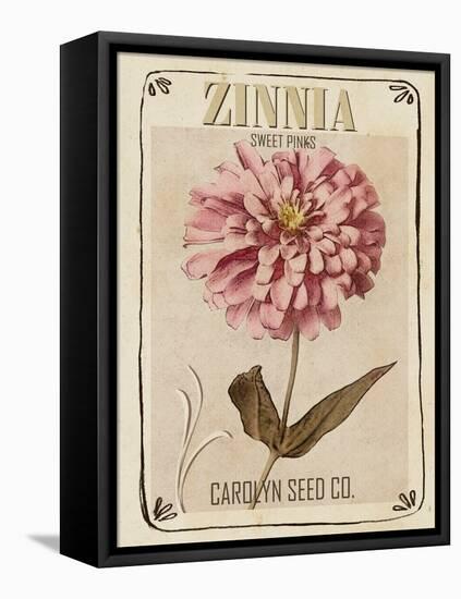Vintage Seed Packets II-Studio W-Framed Stretched Canvas