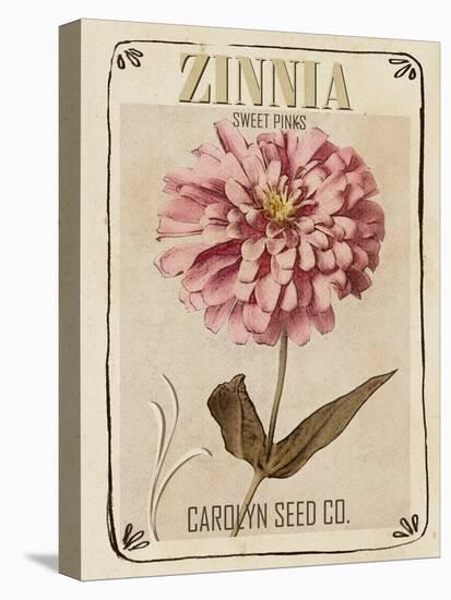 Vintage Seed Packets II-Studio W-Stretched Canvas