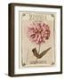 Vintage Seed Packets II-Studio W-Framed Art Print