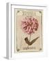 Vintage Seed Packets II-Studio W-Framed Art Print