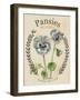 Vintage Seed Packets III-Studio W-Framed Art Print