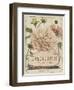 Vintage Seed Packets IV-Studio W-Framed Art Print