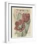 Vintage Seed Packets VI-Studio W-Framed Art Print