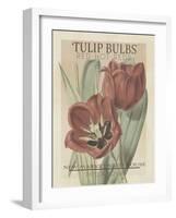 Vintage Seed Packets VI-Studio W-Framed Art Print