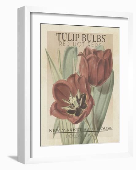 Vintage Seed Packets VI-Studio W-Framed Art Print