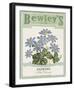 Vintage Seeds I-Maria Mendez-Framed Giclee Print