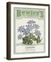 Vintage Seeds I-Maria Mendez-Framed Giclee Print