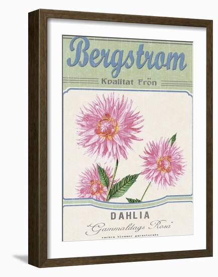 Vintage Seeds II-Maria Mendez-Framed Giclee Print