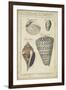 Vintage Shell Study II-Martini-Framed Art Print