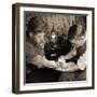 Vintage Shot of a Man Being Tattooed-null-Framed Photographic Print