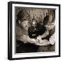 Vintage Shot of a Man Being Tattooed-null-Framed Photographic Print