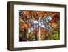Vintage Sign In A Bright Autumn Day-George Oze-Framed Photographic Print