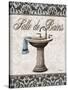 Vintage Sink-Todd Williams-Stretched Canvas