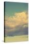 Vintage Sky-Vertical-Mirage3-Stretched Canvas