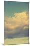 Vintage Sky-Vertical-Mirage3-Mounted Photographic Print