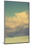 Vintage Sky-Vertical-Mirage3-Mounted Photographic Print