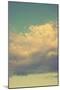 Vintage Sky-Vertical-Mirage3-Mounted Photographic Print