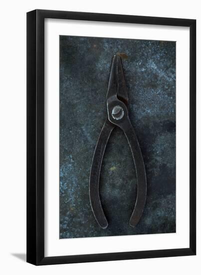 Vintage Small Pliers-Den Reader-Framed Photographic Print