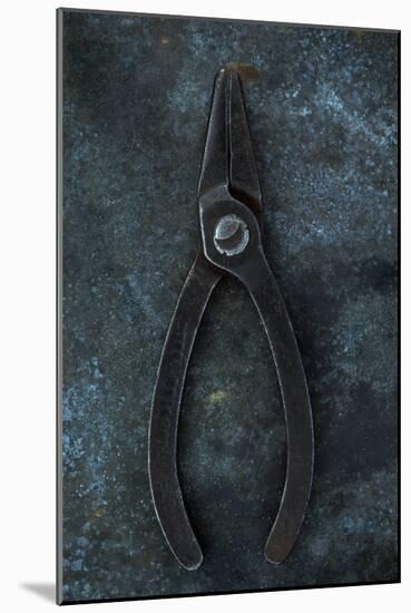 Vintage Small Pliers-Den Reader-Mounted Photographic Print