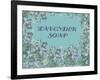 Vintage Soap III-The Vintage Collection-Framed Art Print