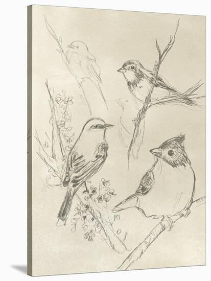 Vintage Songbird Sketch I-June Erica Vess-Stretched Canvas