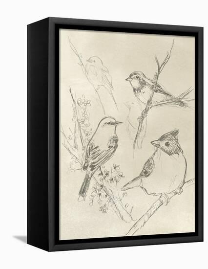 Vintage Songbird Sketch I-June Erica Vess-Framed Stretched Canvas