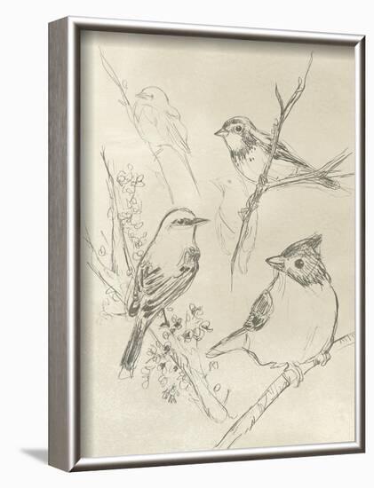 Vintage Songbird Sketch I-June Erica Vess-Framed Art Print