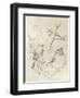 Vintage Songbird Sketch I-June Erica Vess-Framed Art Print