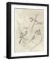 Vintage Songbird Sketch I-June Erica Vess-Framed Art Print