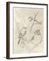 Vintage Songbird Sketch I-June Erica Vess-Framed Art Print