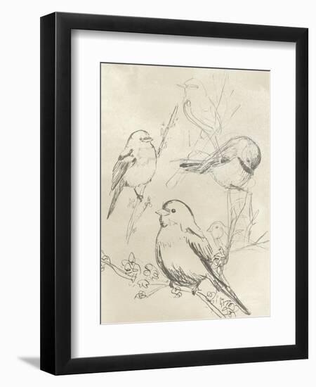 Vintage Songbird Sketch II-June Erica Vess-Framed Art Print