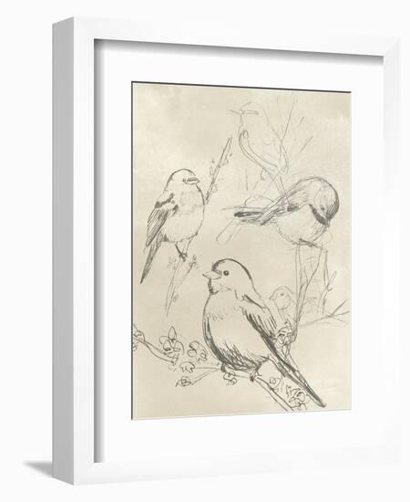 Vintage Songbird Sketch II-June Erica Vess-Framed Art Print