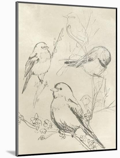 Vintage Songbird Sketch II-June Erica Vess-Mounted Art Print