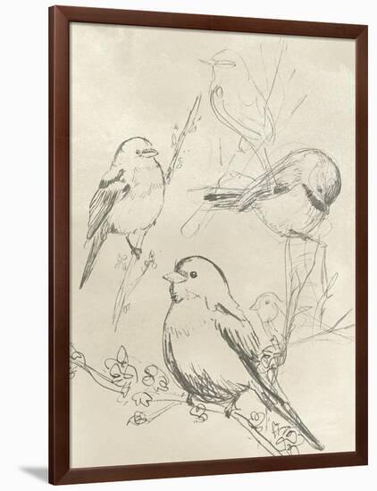 Vintage Songbird Sketch II-June Erica Vess-Framed Art Print