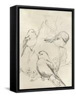Vintage Songbird Sketch II-June Erica Vess-Framed Stretched Canvas