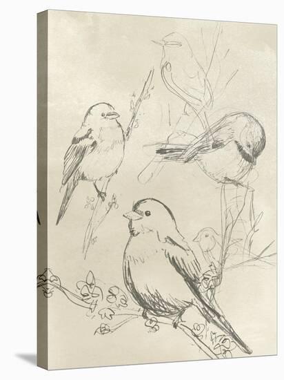 Vintage Songbird Sketch II-June Erica Vess-Stretched Canvas