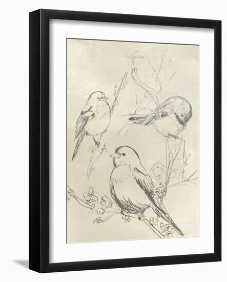 Vintage Songbird Sketch II-June Erica Vess-Framed Art Print