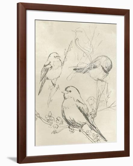 Vintage Songbird Sketch II-June Erica Vess-Framed Art Print