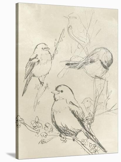 Vintage Songbird Sketch II-June Erica Vess-Stretched Canvas