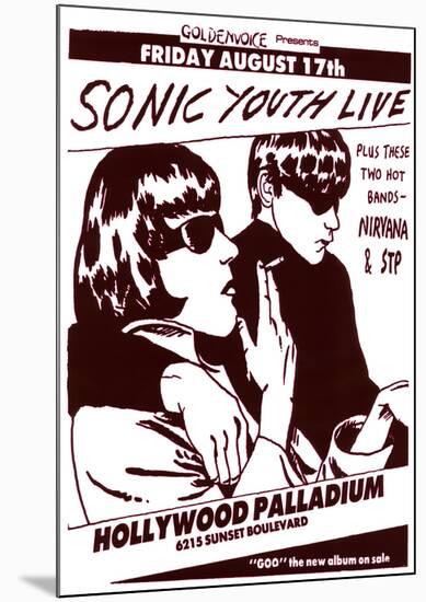 Vintage Sonic Youth NIRVANA STP Poster PICTURE-null-Mounted Poster