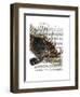 Vintage Spiky Fish-Fab Funky-Framed Art Print