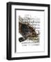 Vintage Spiky Fish-Fab Funky-Framed Art Print