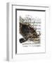 Vintage Spiky Fish-Fab Funky-Framed Art Print