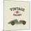 Vintage Sport Racing Cars-vector pro-Mounted Art Print