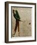 Vintage Sports II-John Butler-Framed Art Print