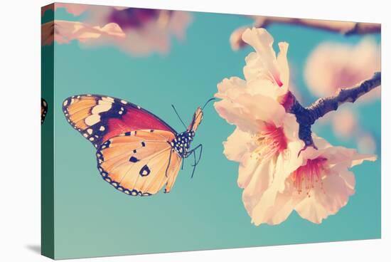 Vintage Spring Image with Butterfly and Blossoming Fruit Tree against Blue Sky. Springtime Nature A-Protasov AN-Stretched Canvas