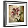 Vintage Studio I-Patricia Pinto-Framed Premium Giclee Print