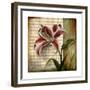 Vintage Studio I-Patricia Pinto-Framed Premium Giclee Print