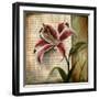 Vintage Studio I-Patricia Pinto-Framed Art Print